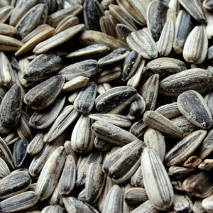 Sunflowers seeds