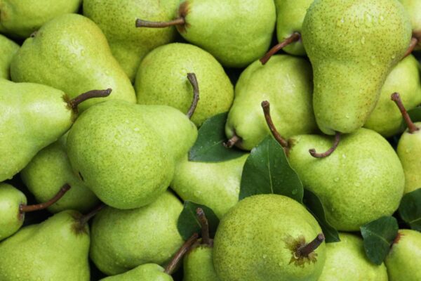 Pears Fruits