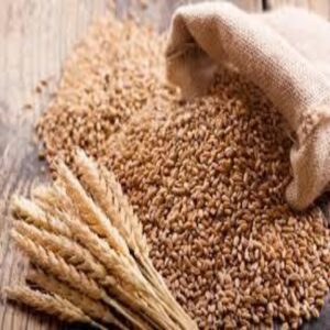 Wheat