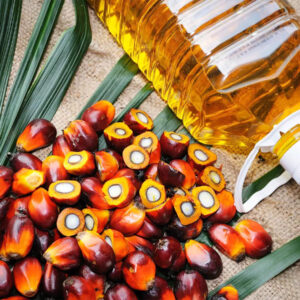 Refined palm oil