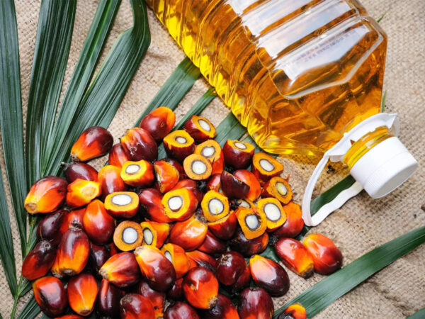Refined palm oil