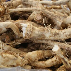 Fresh Horsearadish