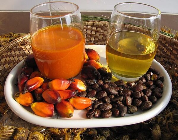 Palm Kernel Oil