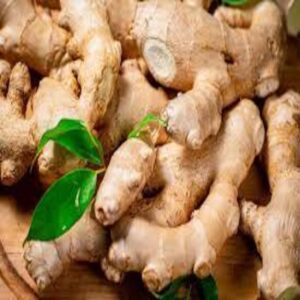 Garlics